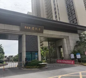 漳河新区-新政务中心-碧桂园楚悦台