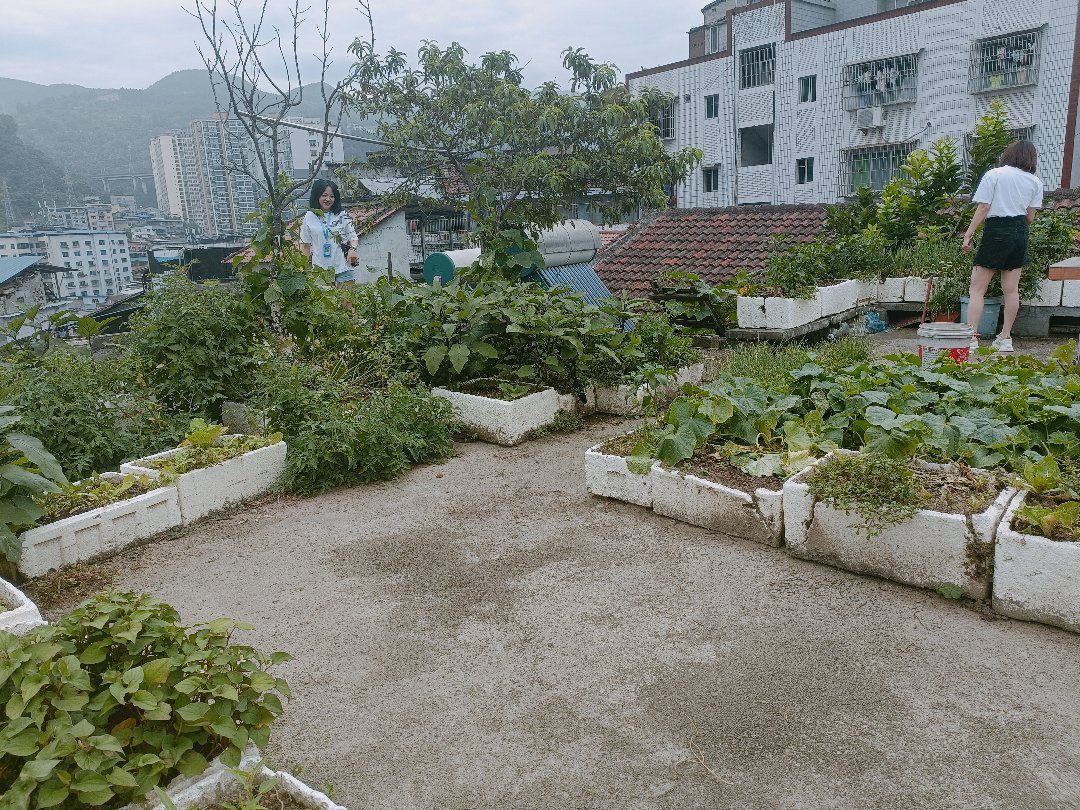 石板坡,石板坡 独具特色 自然资源 宁静和谐2