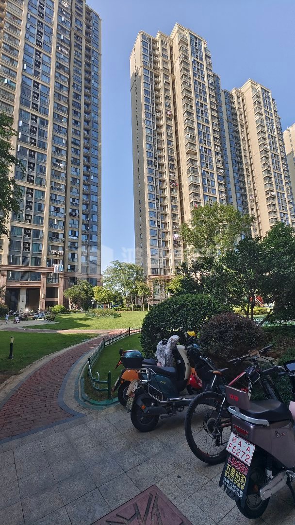绿地玫瑰城,房东诚心售卖 看房预约 采光充足 户型方正5