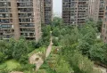麒麟嘉园1400元/月90㎡3室2厅1卫1阳台毛坯,10