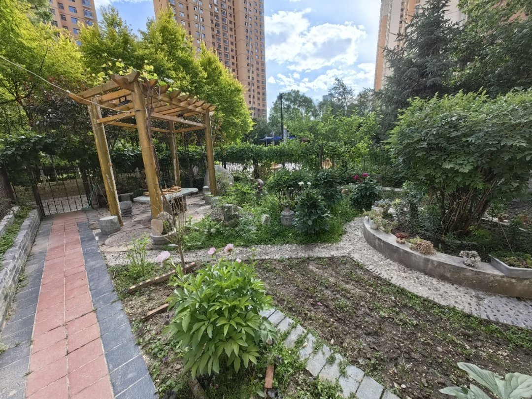 金座豪庭,海湖新区万达唐道旁金座豪庭162平米三室两厅两卫一楼带花园15