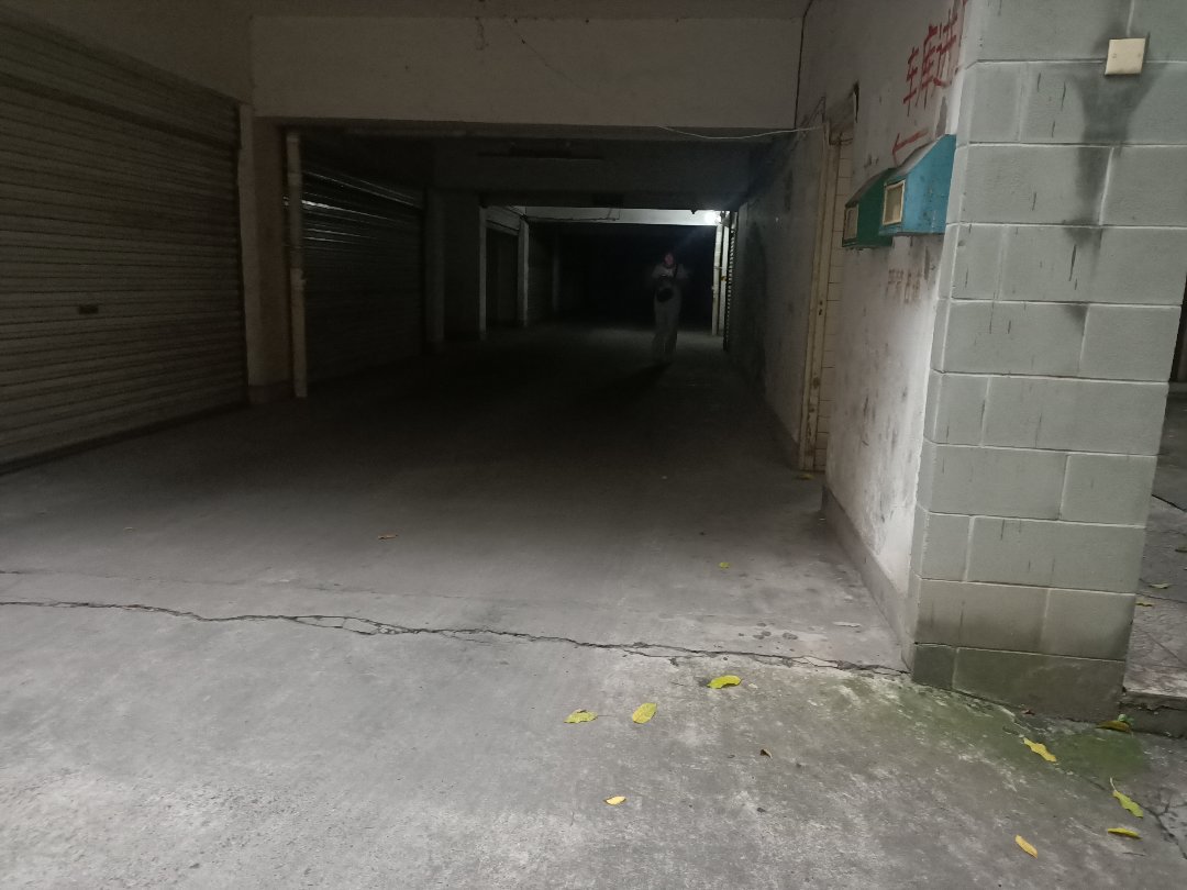 银杏苑,峨眉银杏苑底商已不多,位置好客流大,紧急出售中5