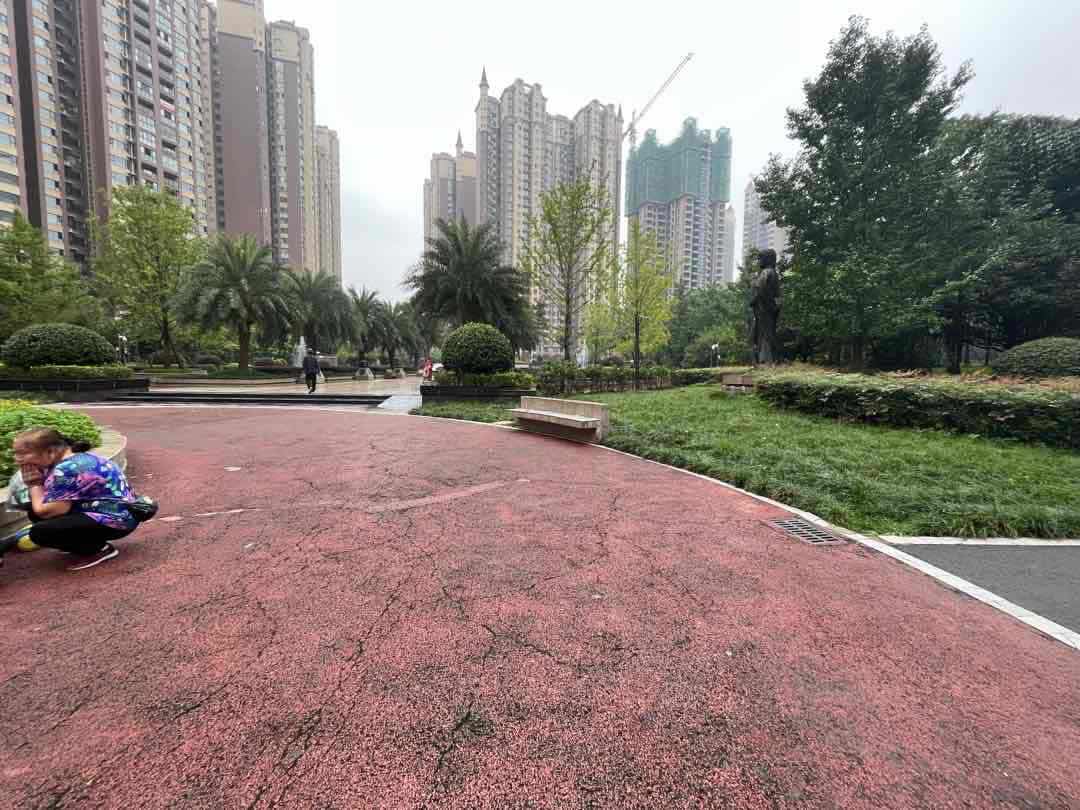 阳光维多利亚,阳光维多利亚周边配套完善,精装 有钥匙带您看7