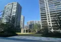 经典4室2厅2卫1阳台南户全明精装两证齐全12