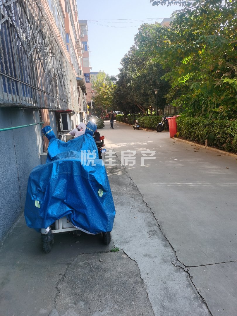西电一公司家属院,城东大型小区环境优雅14