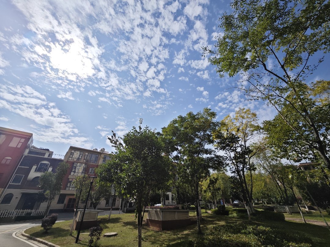 南疆坤城,全新毛坯房,诚心出售11
