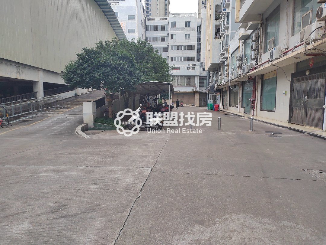 吉田国际,吉田国际,大单间,高档装修10