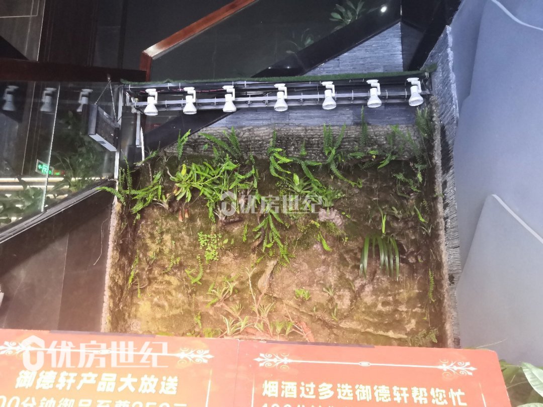 东城国际,北岸社区沿街商铺,稳定在售陈英5