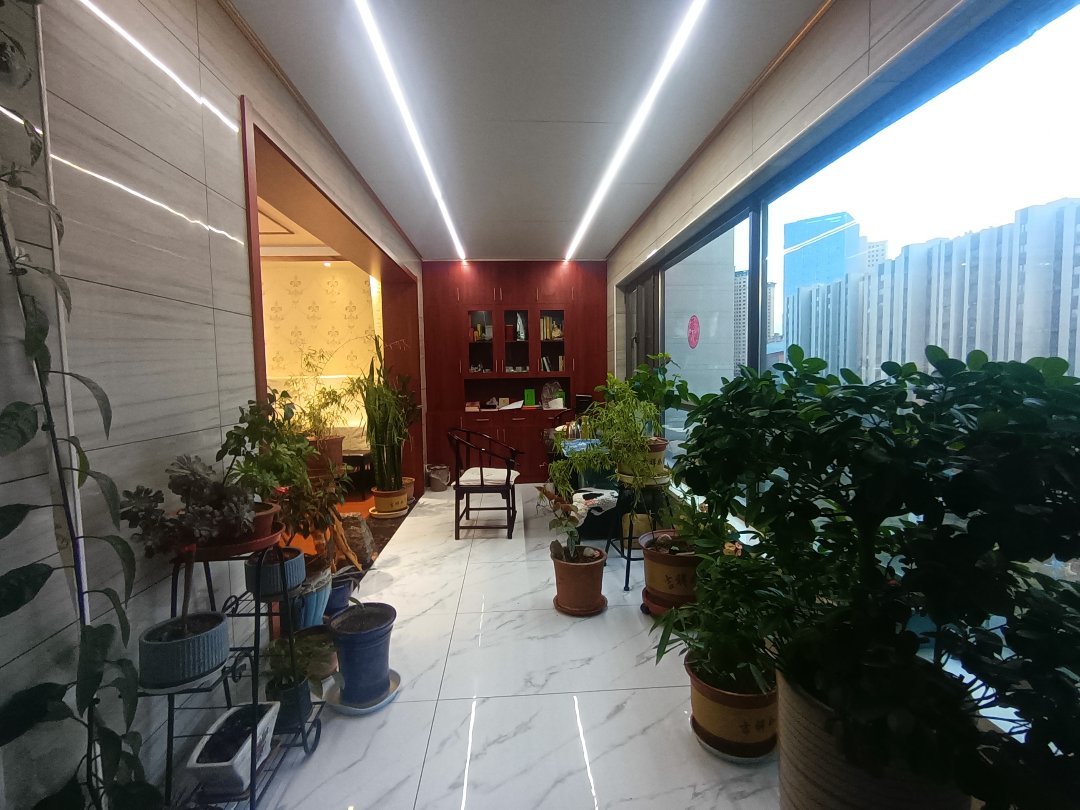 碧桂园,碧桂园精装5室2厅3卫1阳台真漂亮,错层设计真时尚!11