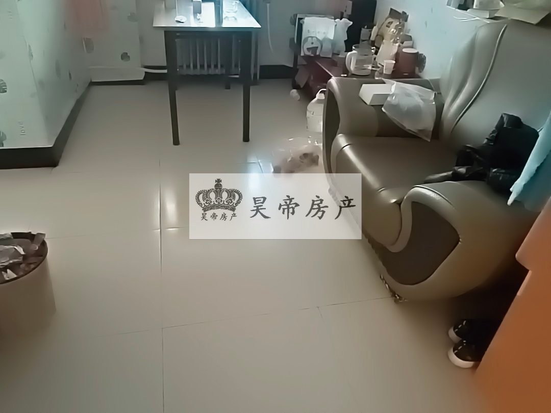 城建小区,育才边上城建小区三室一厅一卫东南向4