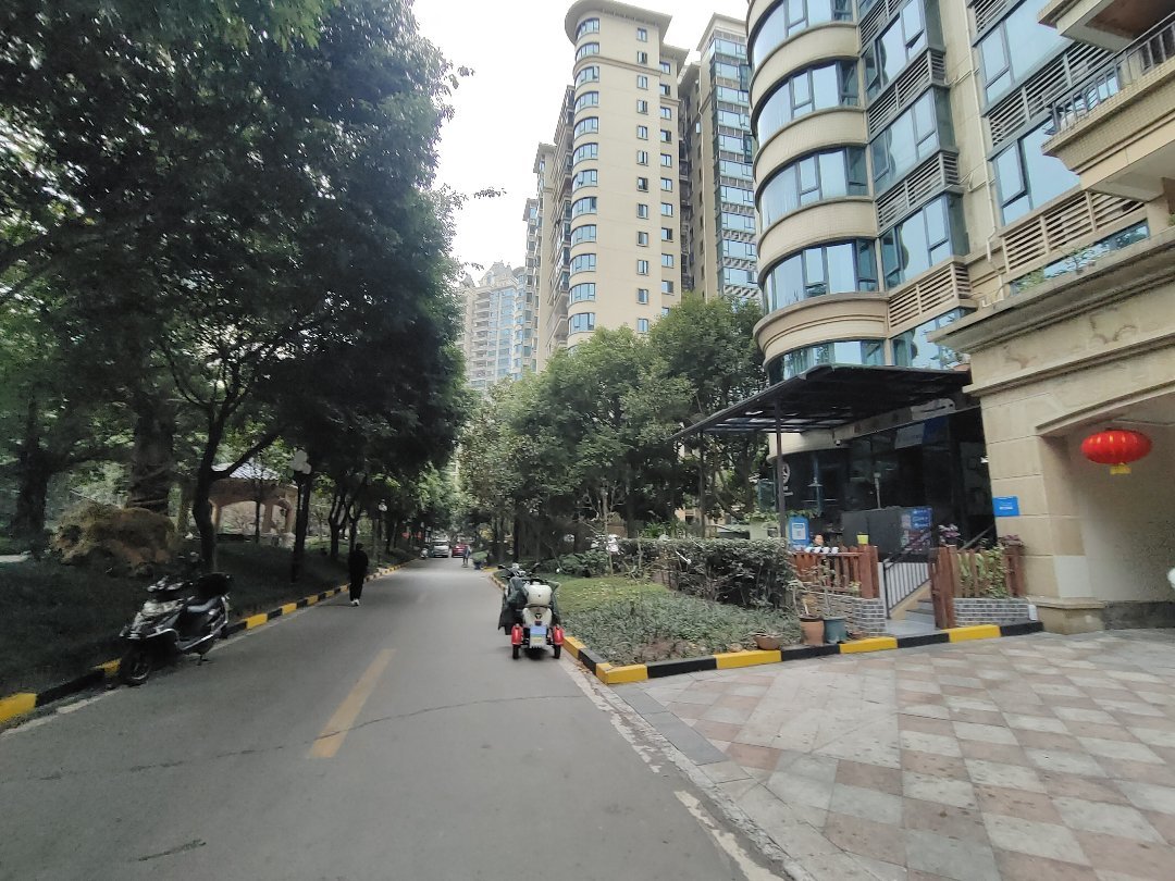 恒大绿洲,龙湖新城,中心地段,小高层精装大三室13