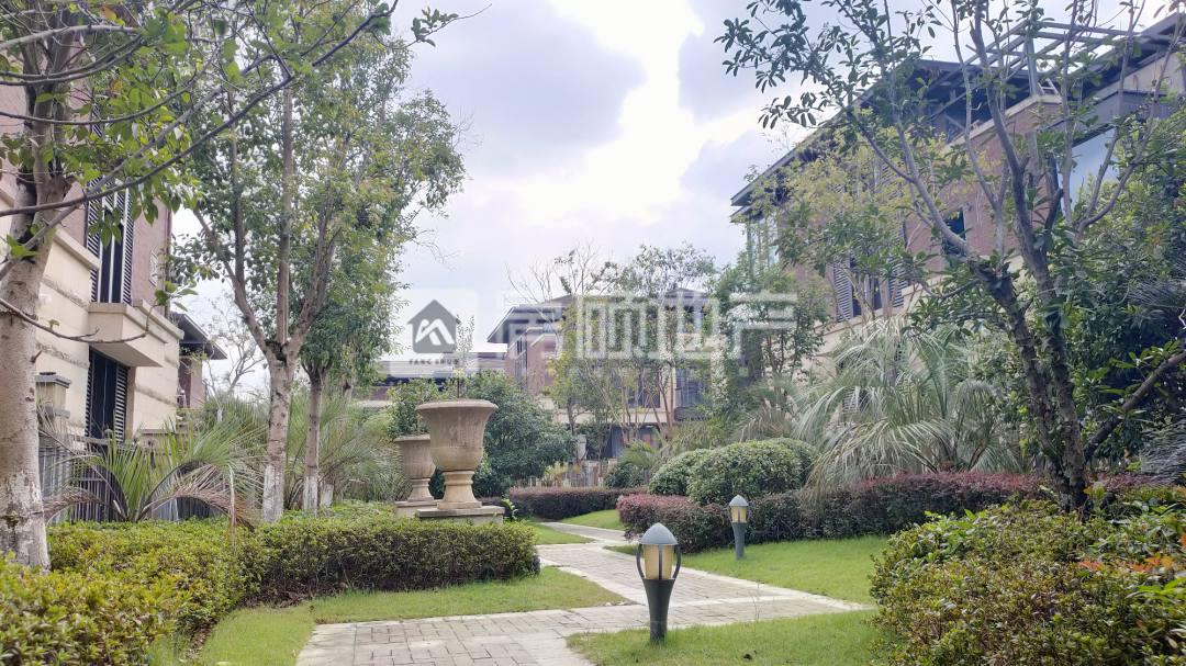 港中旅公元,带院子,花园,送大露台,港中旅毛坯别墅315平出售10