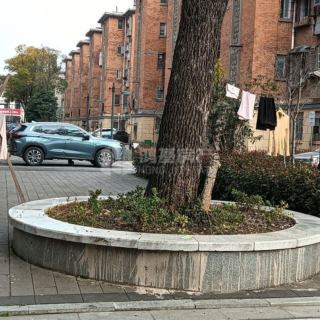 洪都九区,洪都九区,大型社区,阳光充足,普通3