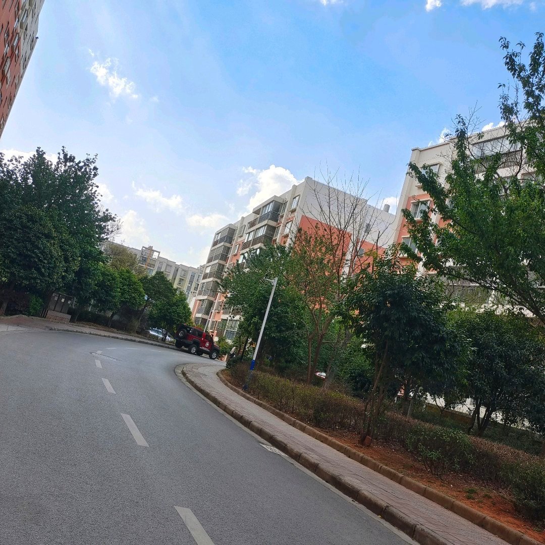 龙华园,经典龙华园3室2厅2卫2阳台!精装修!两证齐全!12