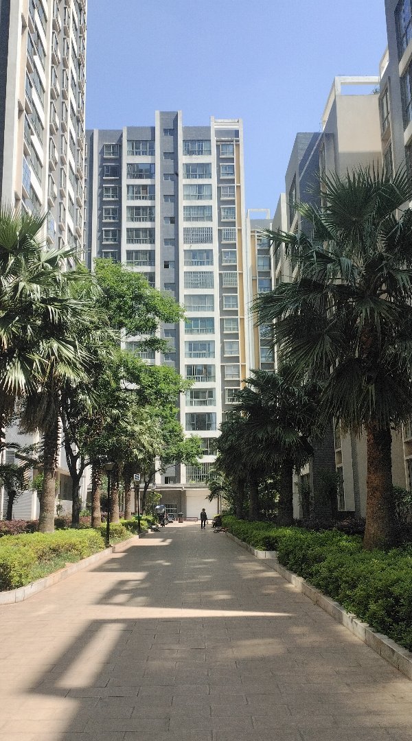 丽景佳园,丽景佳园 3室2厅1卫2阳台毛坯 使用面积大楼层好8