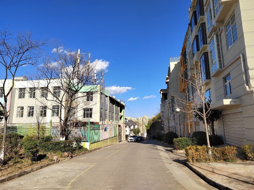 都市森邻,都市森邻双拼别墅,已经加好层的毛坯房,带地下室29