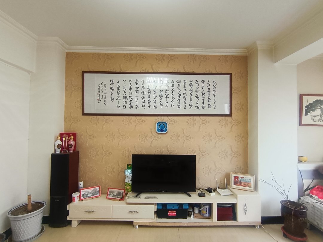 凤凰苑小区,凤凰苑精装两室两厅一卫,采光好11