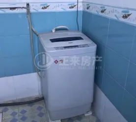 枣阳市-城南-沿河路老自行车厂家属院