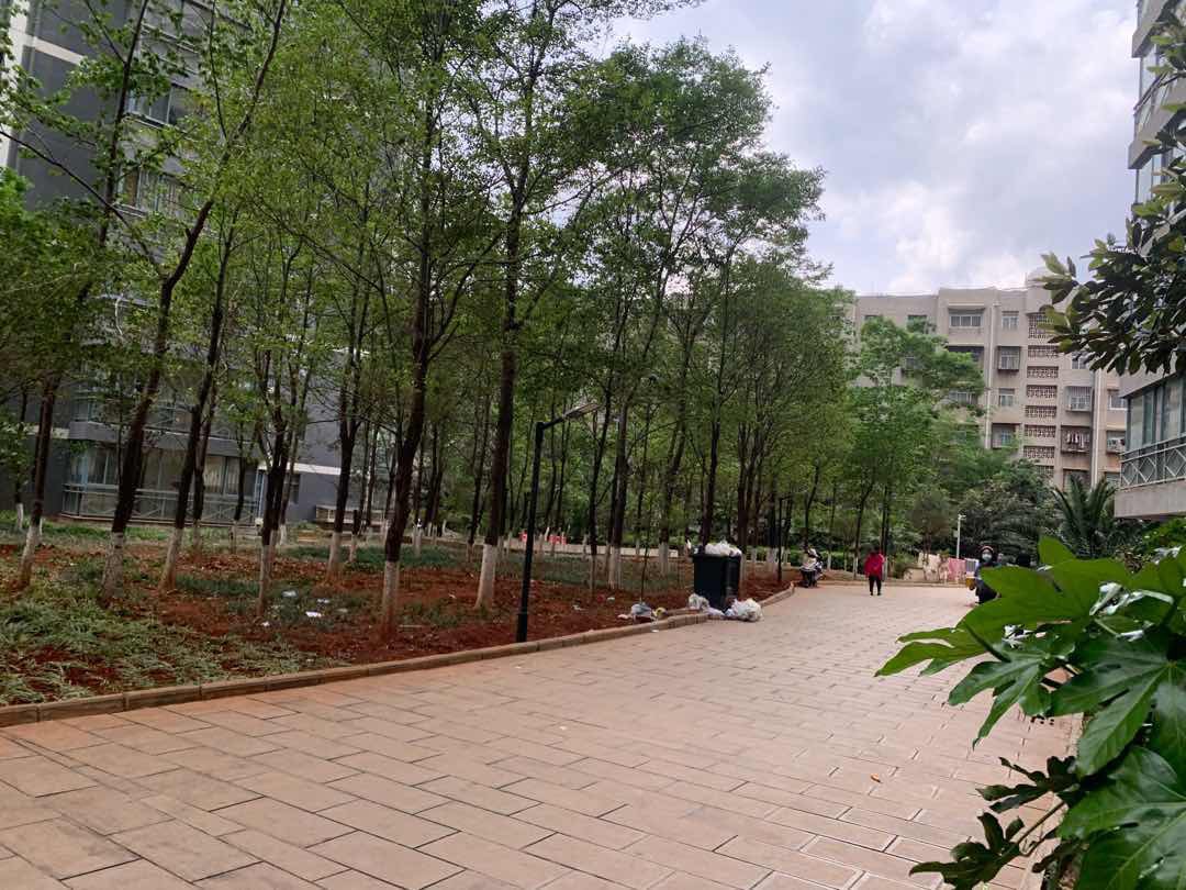 龙城国际,龙城国际 毛坯经典户型13