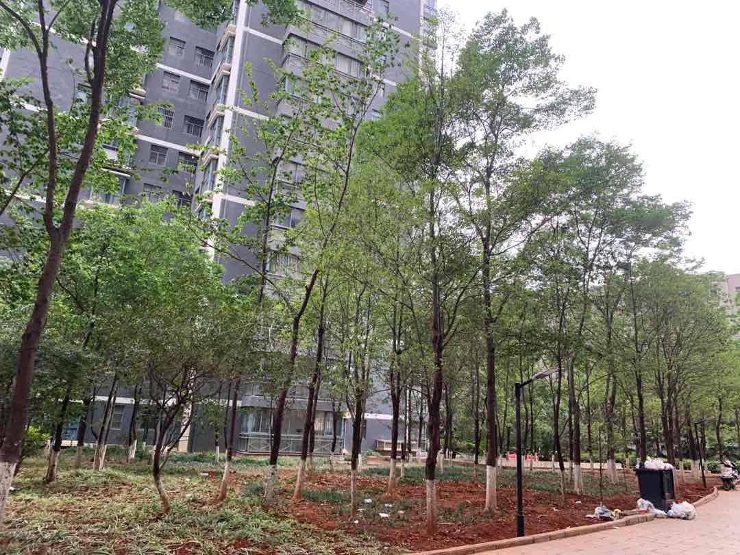 龙城国际,龙城国际 毛坯经典户型14