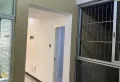 山林水语,南北通透 安静 视野开阔9