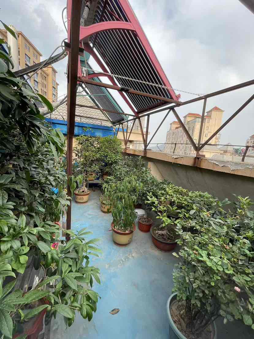 天惠爱丁堡公馆,爱丁堡精装复式洋房 装修三年婚房15