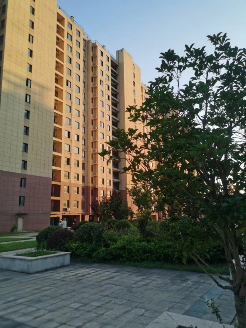 蓝山名苑,南北通透,3室2厅1卫1阳台全南,户型非常棒,有户型为证3