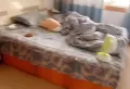 沁园小区三室好房手次出租8
