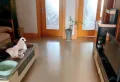 沁园小区三室好房手次出租3