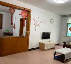 蕲春县-大中华购物广场-自建房