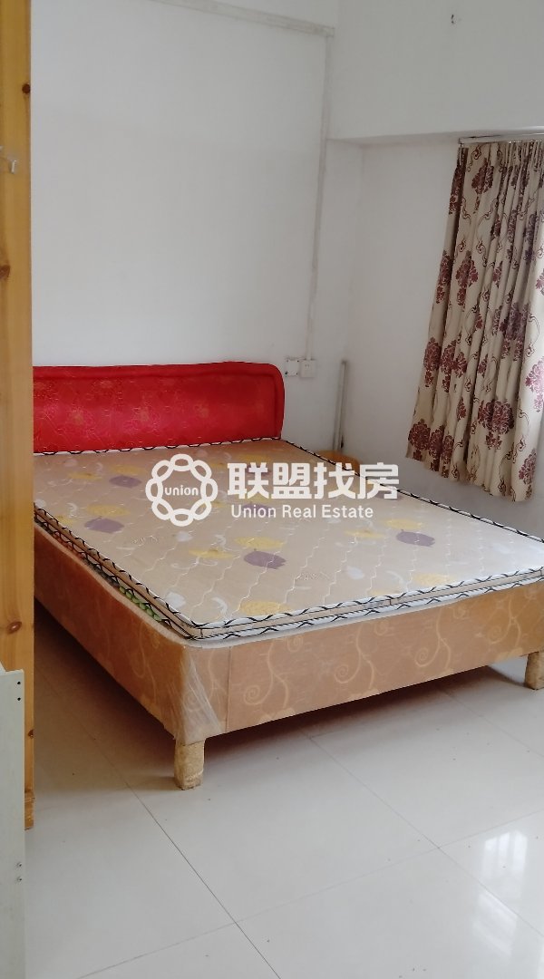 港中花鸟古玩市场,金港大道,港中花鸟,古玩市场,大单间价格便宜,近吾悦广场9