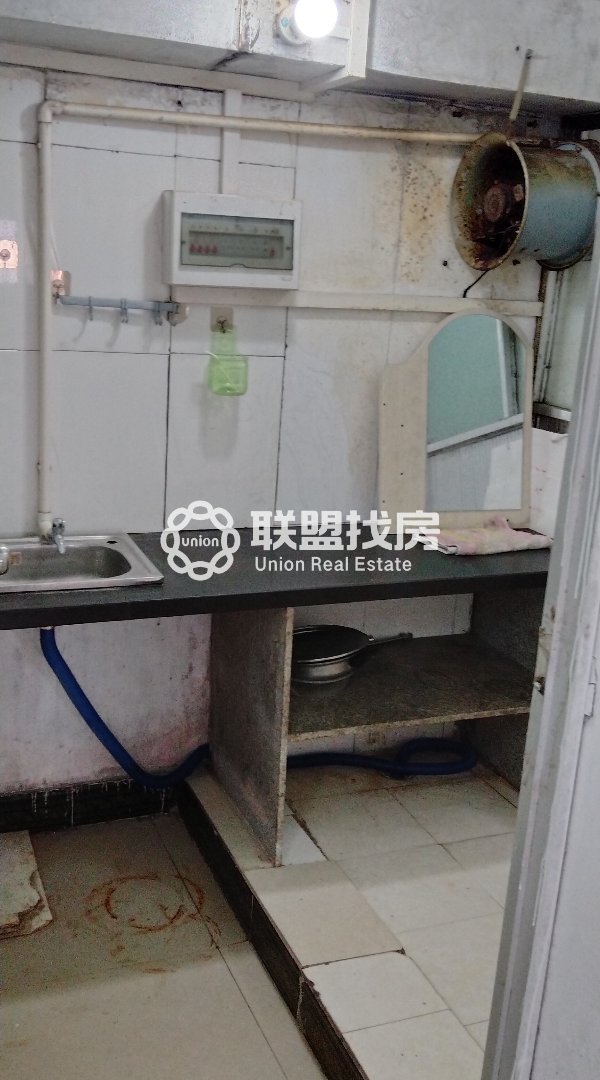 港中花鸟古玩市场,金港大道,港中花鸟,古玩市场,大单间价格便宜,近吾悦广场6