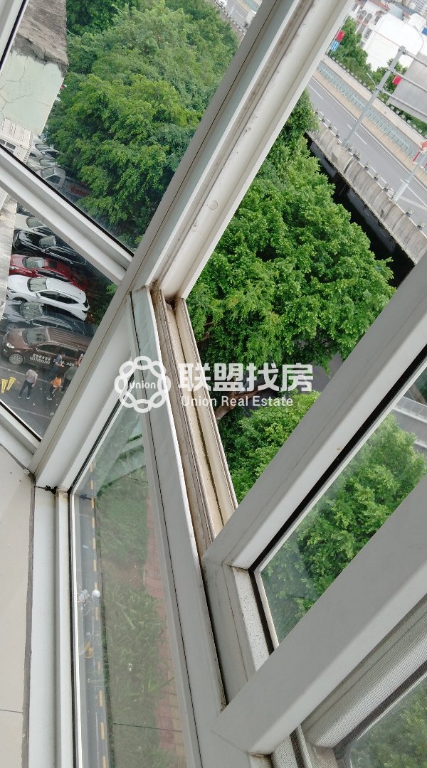 港中花鸟古玩市场,金港大道,港中花鸟,古玩市场,大单间价格便宜,近吾悦广场15