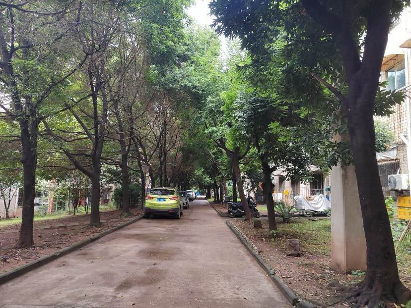 马吃水荣光苑,双层空间,小复式动静分离,仅售360万元13