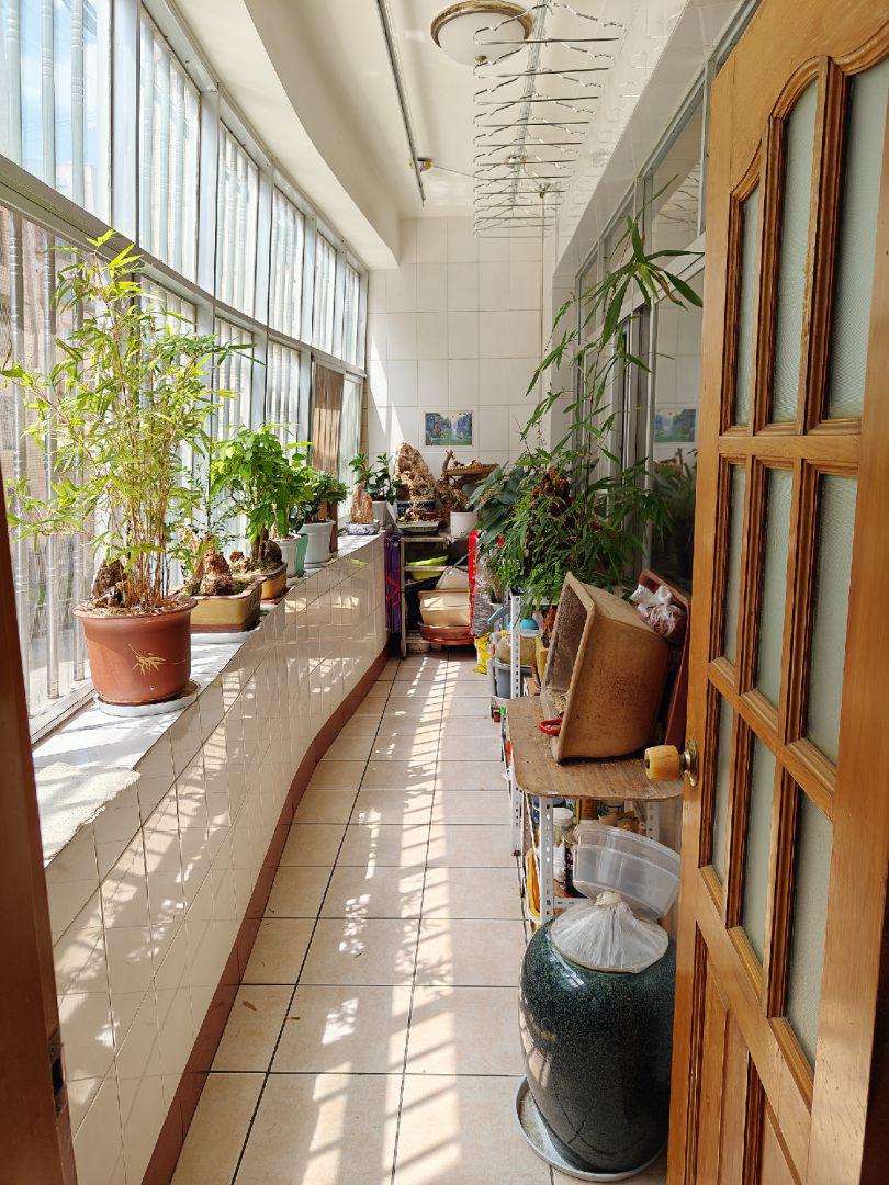 糖酒茶公司住宿区,市中心麒麟巷,北关校门口,楼层好9