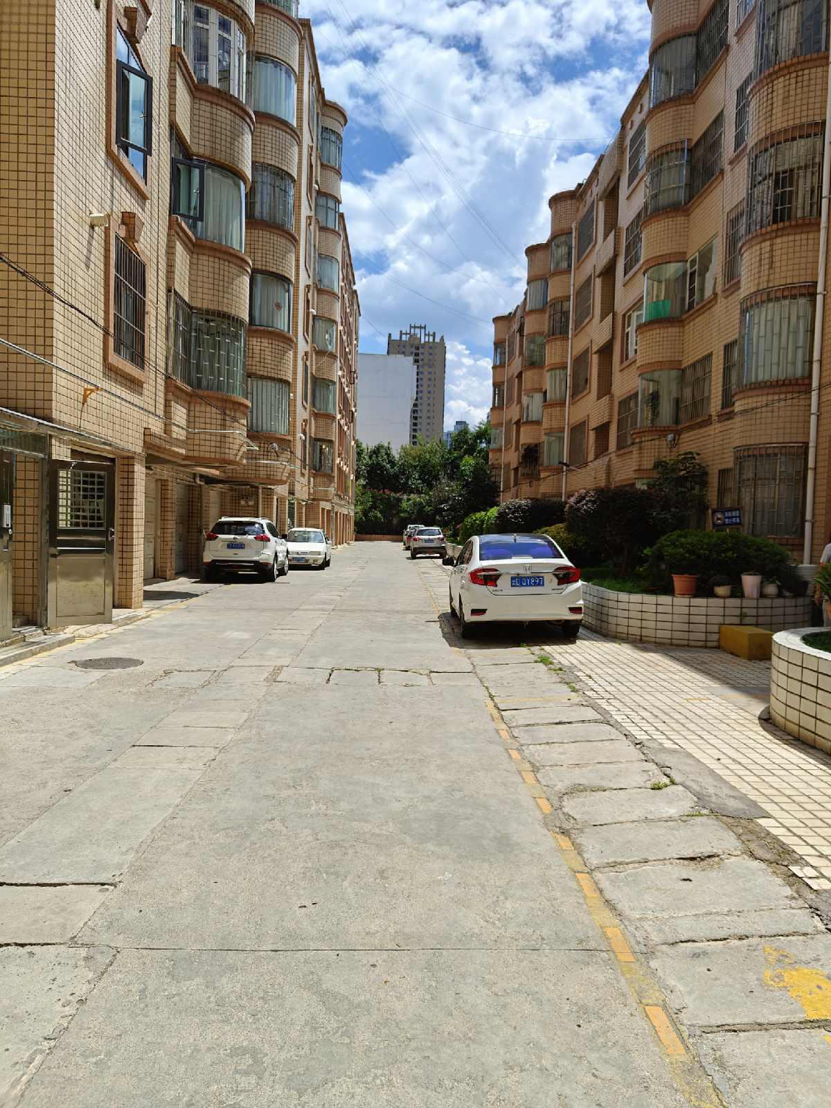 糖酒茶公司住宿区,市中心麒麟巷,北关校门口,楼层好11