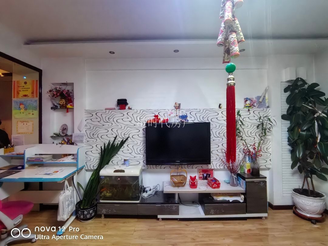 丽景园B区,丽景园B区两室两厅,东西通透带家具,可按揭5