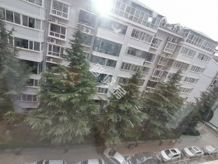 秀水苑,3+4楼中楼,三楼可以看,四楼有租客,满二,11