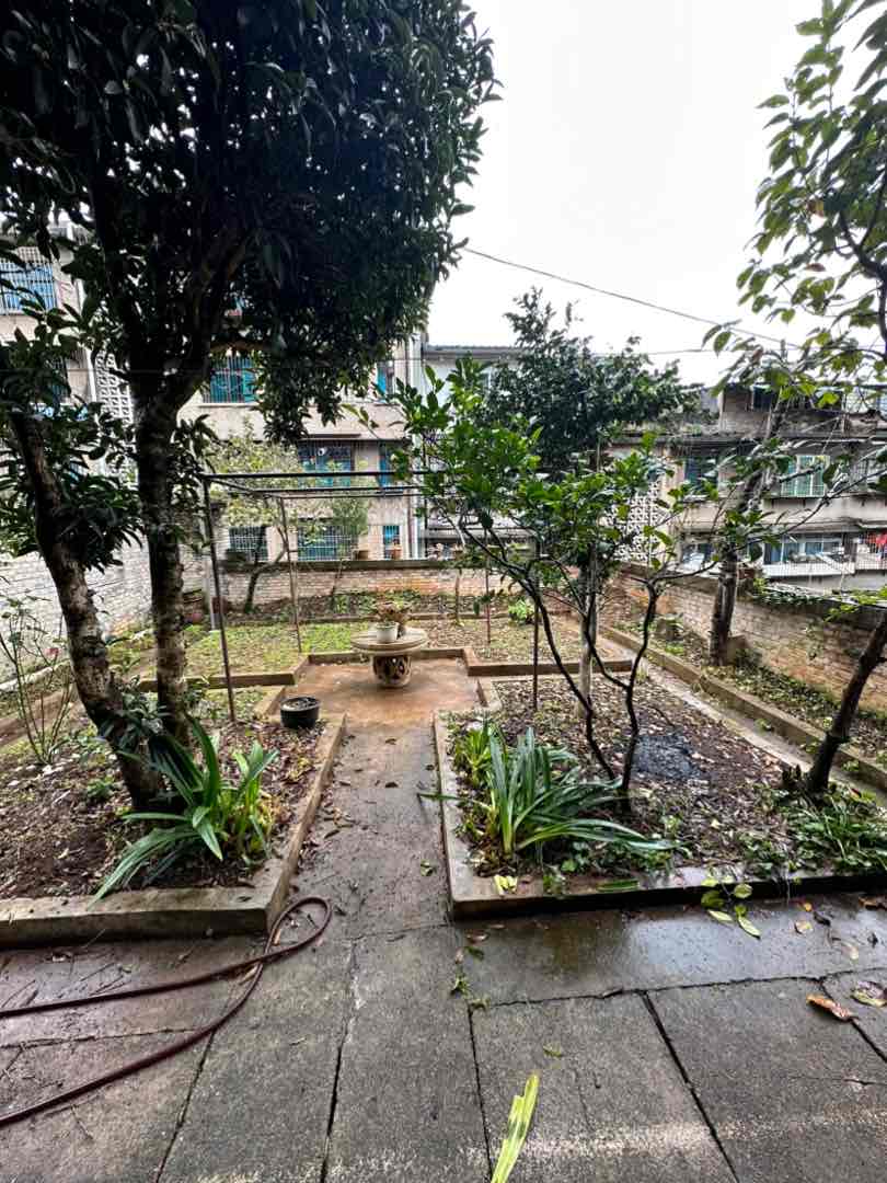 矿物局家属院,矿务局独栋别墅出售证齐全可按揭11