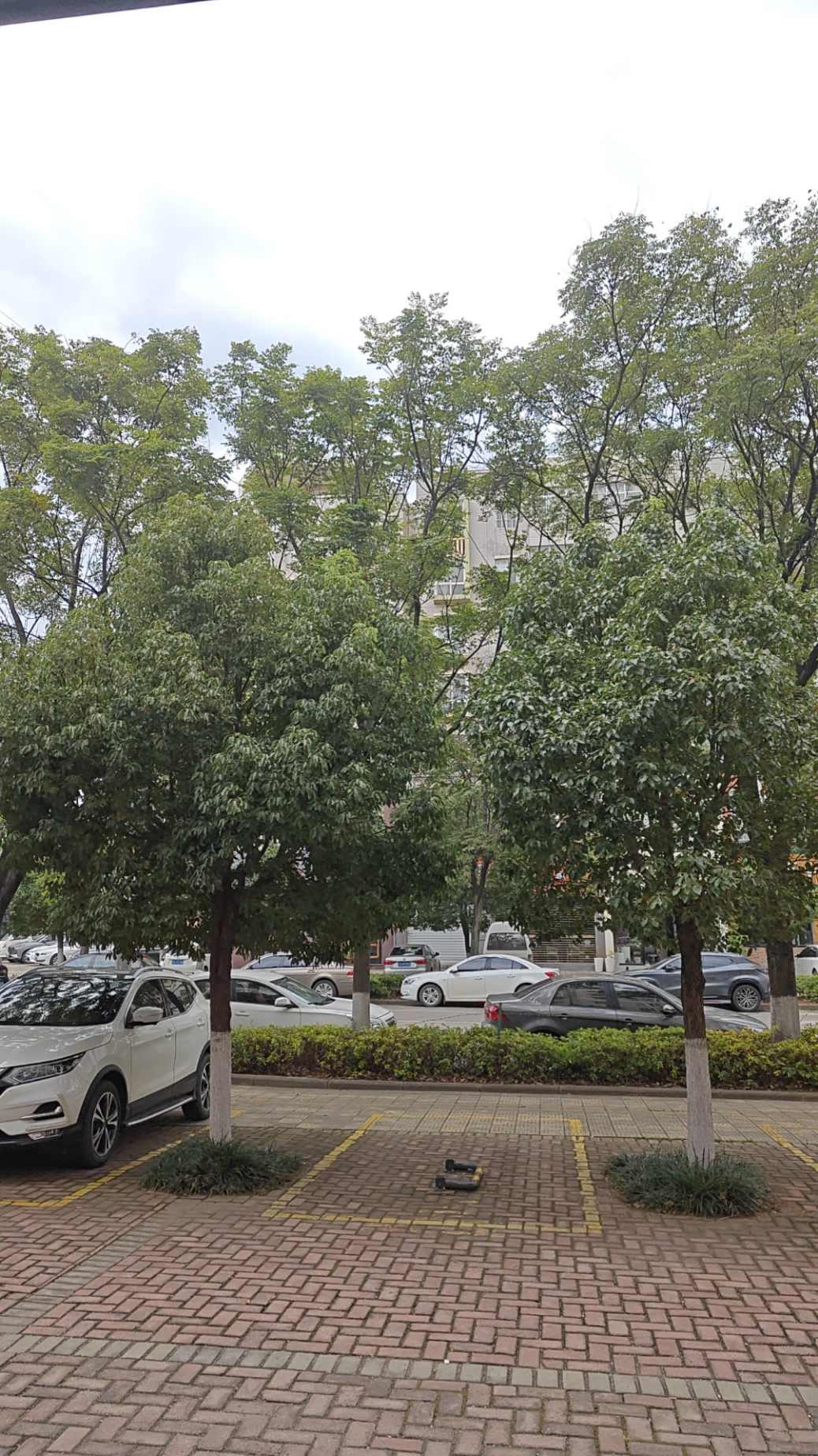 水电十四局宿舍,水电十四局宿舍 2室2厅1卫1阳台普通 使用面积大楼层好10