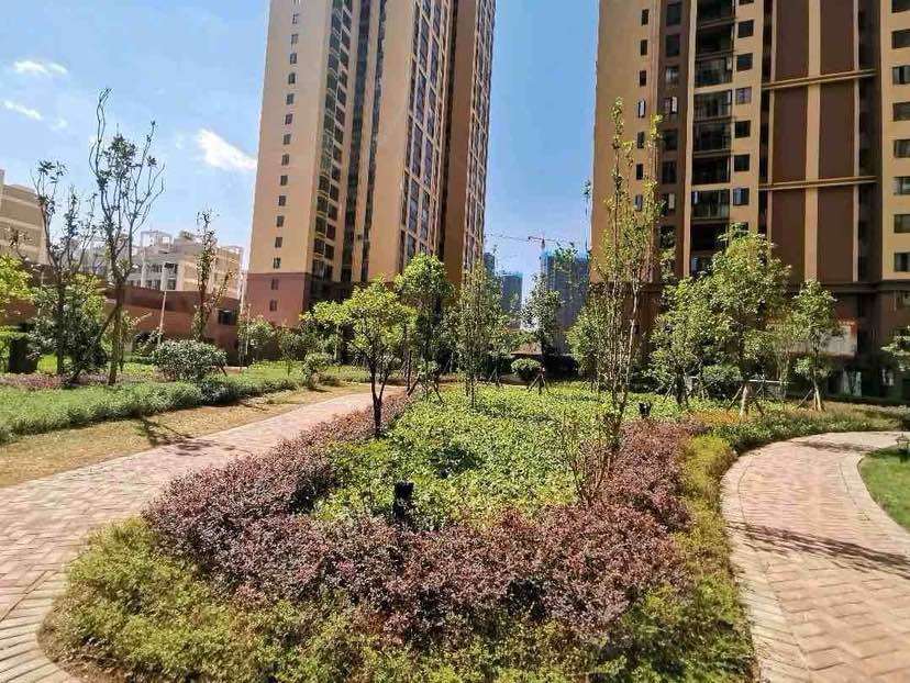 龙华园,满五,可以直接过户配置齐全12
