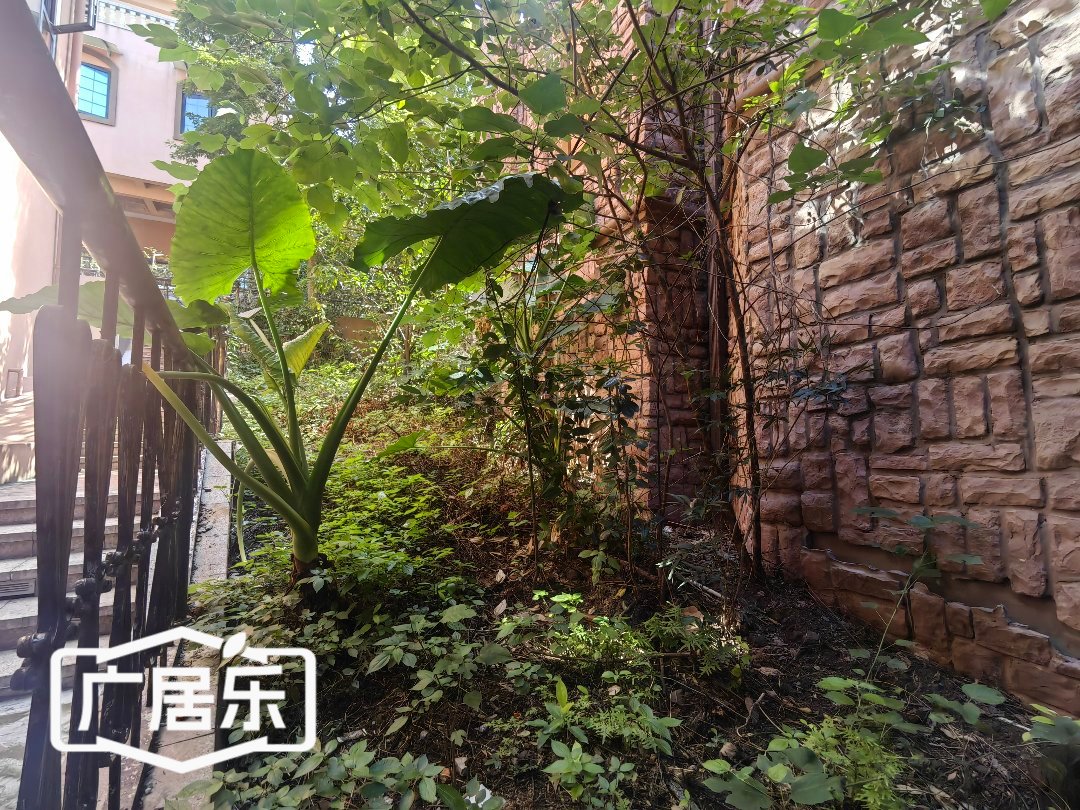 东方威尼斯别墅,南北通透,6室3厅4卫3阳台全南,户型非常棒,有户型为证5
