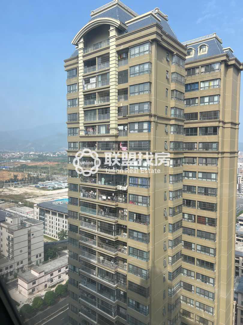 通泰爱丽嘉园,爱丽舍豪装大平层 置换急售14