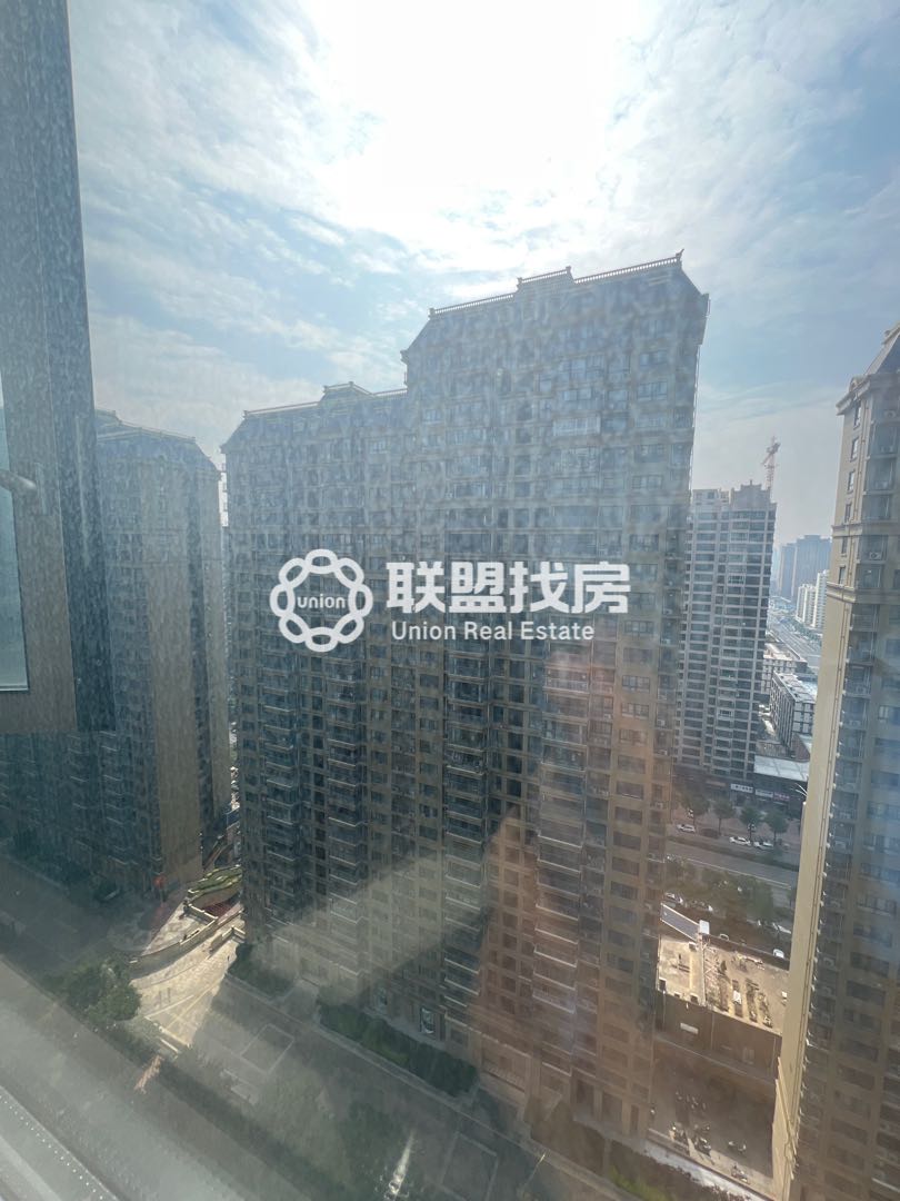 通泰爱丽嘉园,爱丽舍豪装大平层 置换急售15