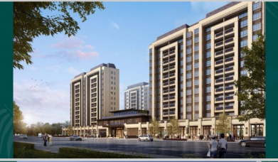 ,,鲁中林湖公馆