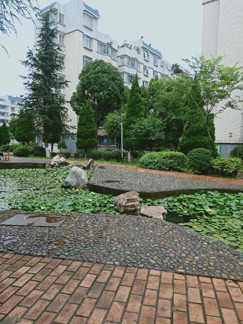 珠江花园,麒麟花园附近,百石江公园边上11