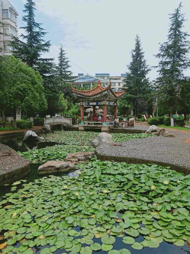 珠江花园,麒麟花园附近,百石江公园边上13