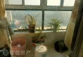 大观园贤林苑配套齐全3