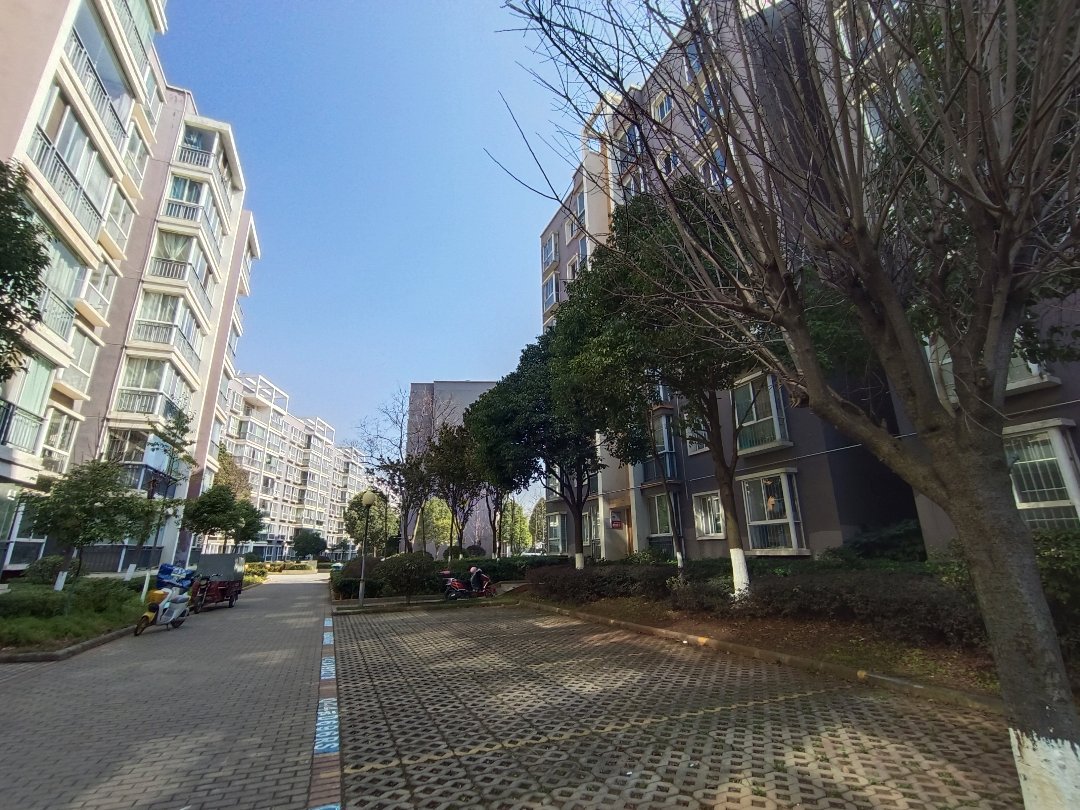 金域蓝苑,万达和外滩旁 金域蓝苑99平低楼层 精装3室满五南北15