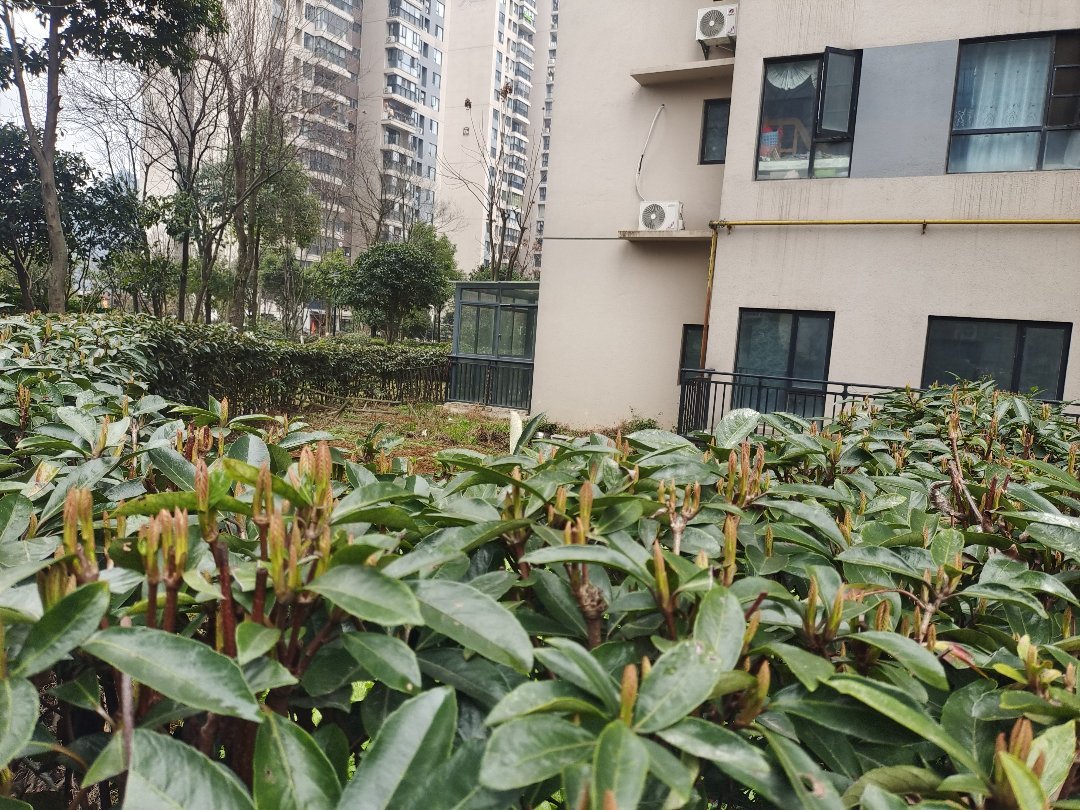 美的城,美的城 独具特色 自然资源 宁静和谐3